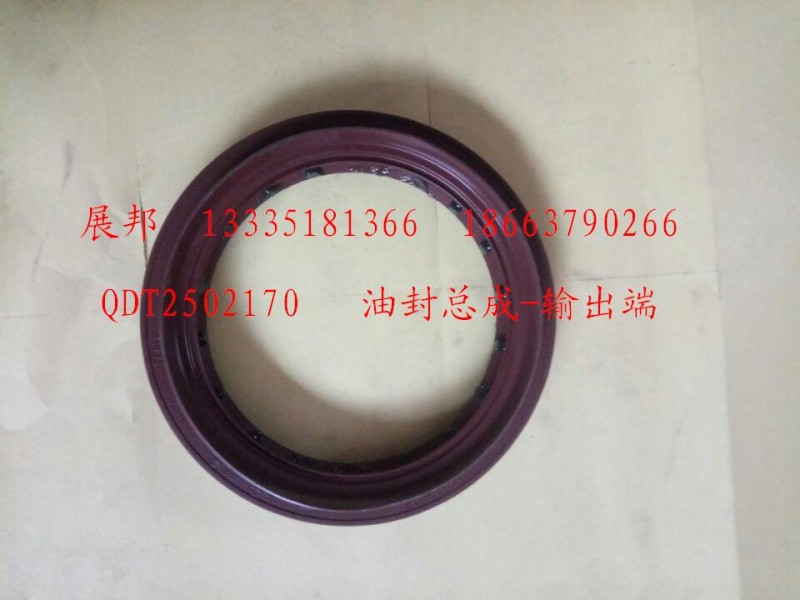 QDT2502170,油封總成-輸出端,濟(jì)南冠澤卡車(chē)配件營(yíng)銷(xiāo)中心
