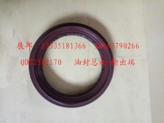 QDT2502170,油封總成-輸出端,濟(jì)南冠澤卡車(chē)配件營(yíng)銷(xiāo)中心