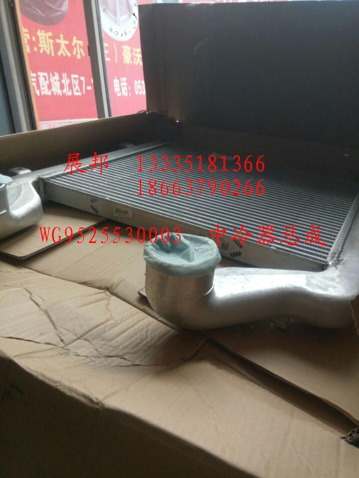 WG9525530003,中冷器總成,濟(jì)南冠澤卡車(chē)配件營(yíng)銷(xiāo)中心
