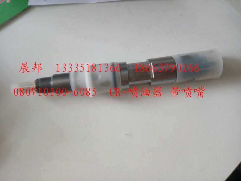 080V10100-6085,CR-噴油器 帶噴嘴,濟(jì)南冠澤卡車(chē)配件營(yíng)銷(xiāo)中心