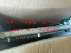 812W06100-0004,中冷器總成,濟(jì)南冠澤卡車(chē)配件營(yíng)銷(xiāo)中心