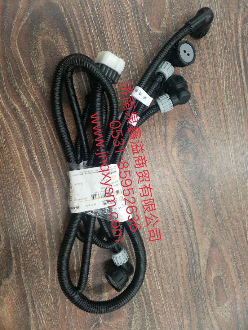 100431800926,變速箱過(guò)渡線束總成,濟(jì)南泉鑫溢商貿(mào)有限公司