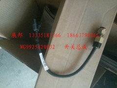 WG9925820032,開關總成,濟南冠澤卡車配件營銷中心