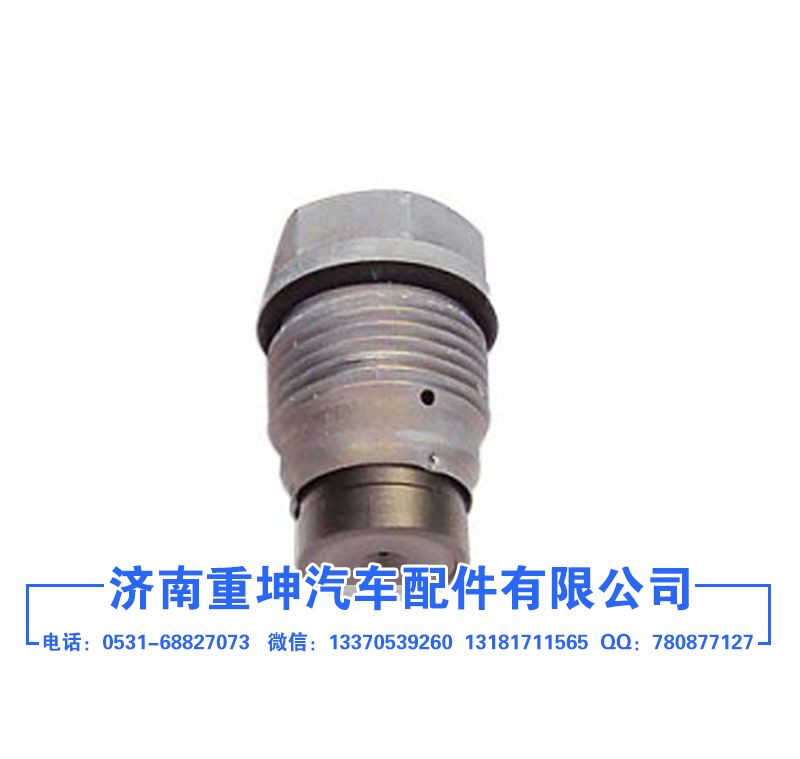 1110010022,泄壓閥,濟(jì)南重坤汽車配件有限公司
