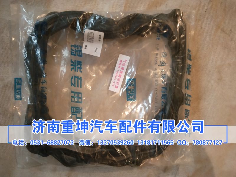 1003041-81D,密封條,濟南重坤汽車配件有限公司