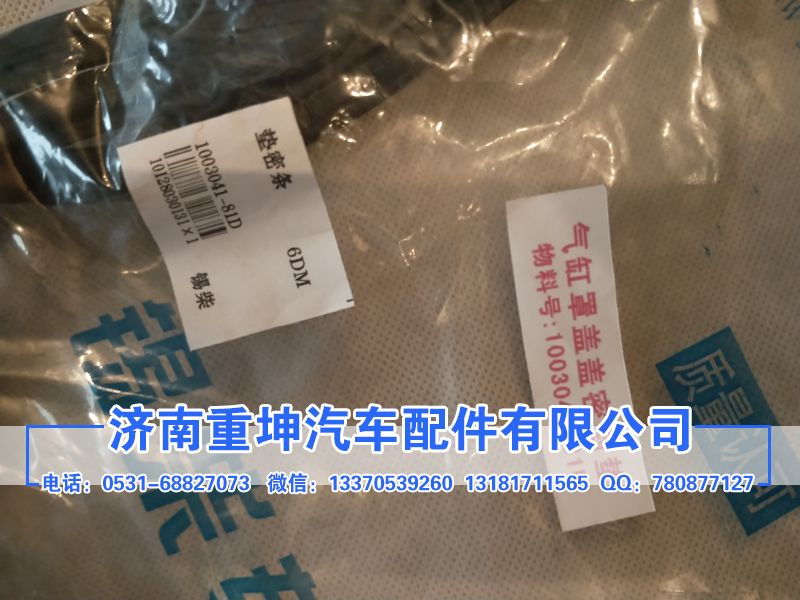 1003041-81D,密封條,濟南重坤汽車配件有限公司