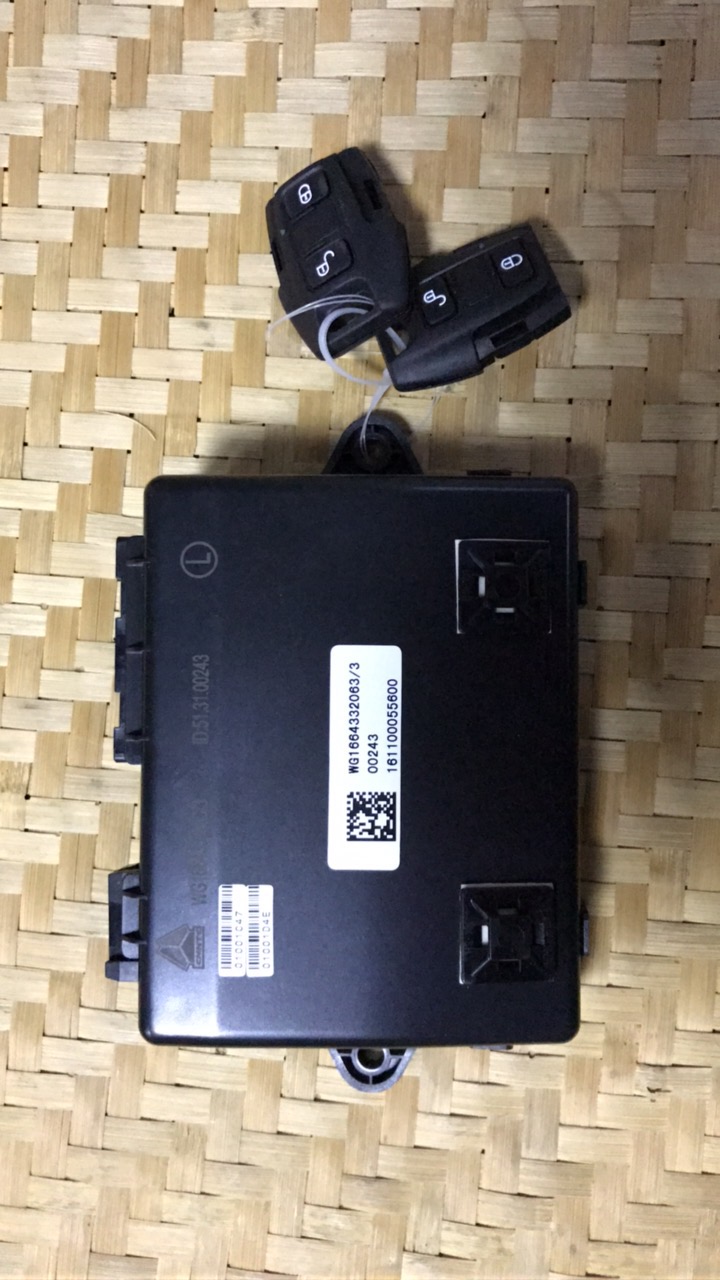 WG1664332063,左車(chē)門(mén)控制器（帶遙控）,濟(jì)南馳南原廠電器