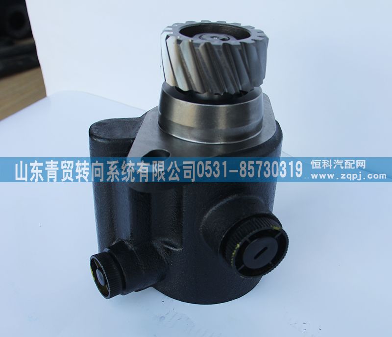 1331334002002,歐曼17齒轉向助力泵 汽車轉向泵 轉向助力葉片泵,山東青貿轉向系統(tǒng)有限公司