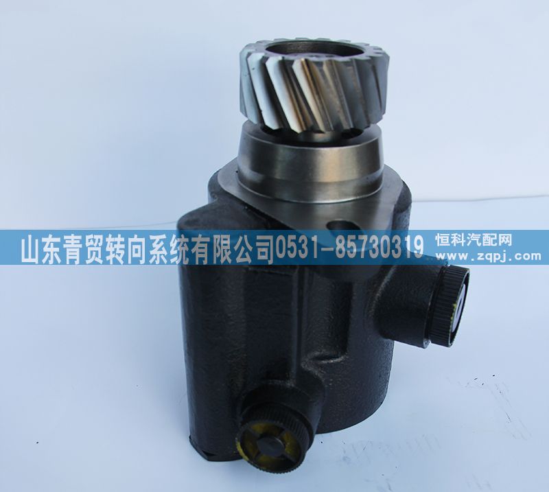 1331334002002,歐曼17齒轉向助力泵 汽車轉向泵 轉向助力葉片泵,山東青貿轉向系統(tǒng)有限公司