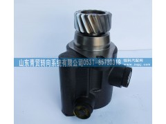 1331334002002,歐曼17齒轉向助力泵 汽車轉向泵 轉向助力葉片泵,山東青貿轉向系統(tǒng)有限公司