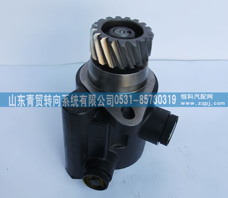 1331334002002,歐曼17齒轉向助力泵 汽車轉向泵 轉向助力葉片泵,山東青貿轉向系統(tǒng)有限公司