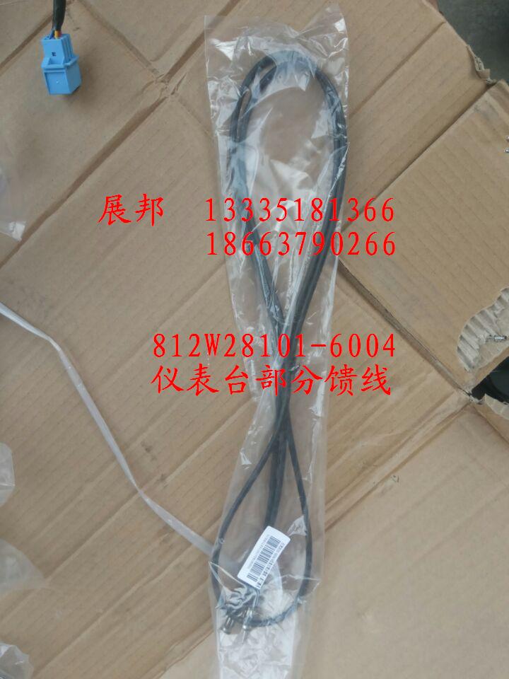 812W28101-6004,儀表臺部分饋線,濟(jì)南冠澤卡車配件營銷中心