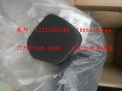 712W25509-0200,右組合開(kāi)關(guān)堵蓋,濟(jì)南冠澤卡車配件營(yíng)銷中心