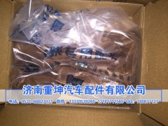 1007011-81D,進(jìn)氣門,濟(jì)南重坤汽車配件有限公司