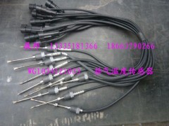 WG1034121033,排氣溫度傳感器,濟(jì)南冠澤卡車配件營(yíng)銷中心