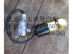 1419336601001,電動舉升開關(guān),北京遠大歐曼汽車配件有限公司