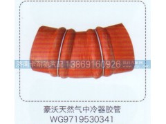 WG9719530341,豪沃天然氣中冷器膠管,濟南卡耐馳汽車配件有限公司