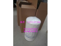 VG1246070031,機(jī)油濾清器芯,濟(jì)南冠澤卡車(chē)配件營(yíng)銷(xiāo)中心