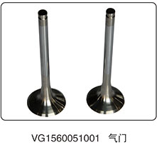 VG1560051001,氣門,山東百基安國際貿(mào)易有限公司