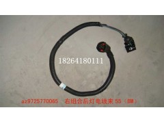 AZ9725770065,組合后燈電線(xiàn)束,濟(jì)南百思特駕駛室車(chē)身焊接廠