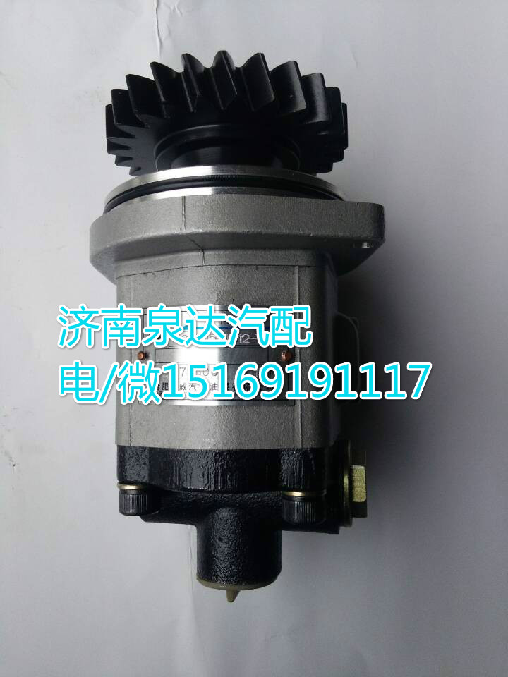 1032300111,轉(zhuǎn)向巨力泵/齒輪泵,濟南泉達汽配有限公司