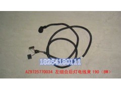 AZ9725770034,左組合后燈電線束190（BW）,濟南百思特駕駛室車身焊接廠