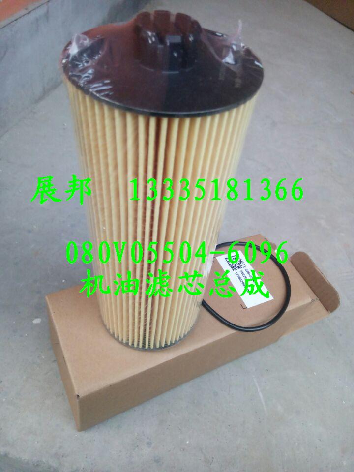 080V05504-6096,機(jī)油濾芯總成,濟(jì)南冠澤卡車配件營(yíng)銷中心