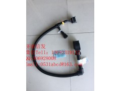 612600190458,天然氣線束,濟(jì)南信發(fā)汽車配件有限公司