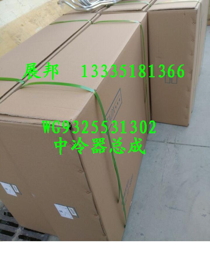WG9325531302,中冷器總成,濟(jì)南冠澤卡車配件營(yíng)銷中心