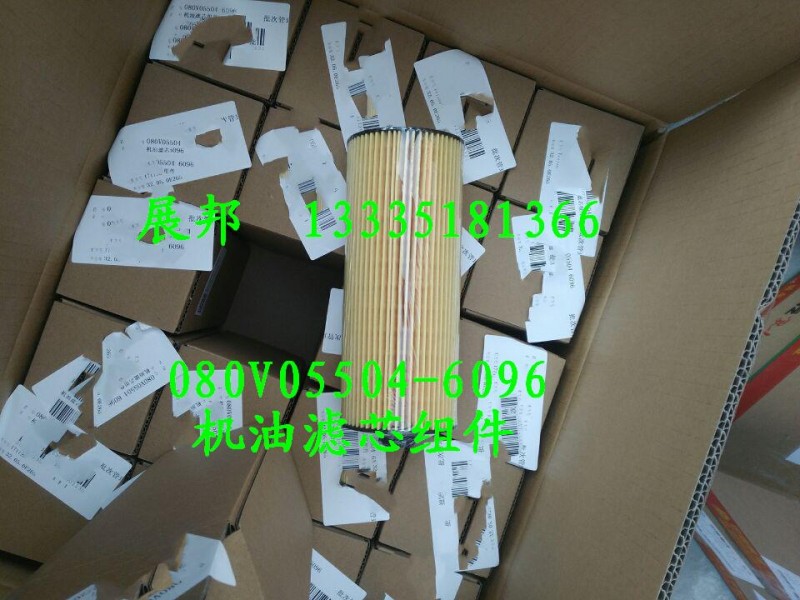 080V05504-6096,機(jī)油濾芯組件,濟(jì)南冠澤卡車配件營銷中心