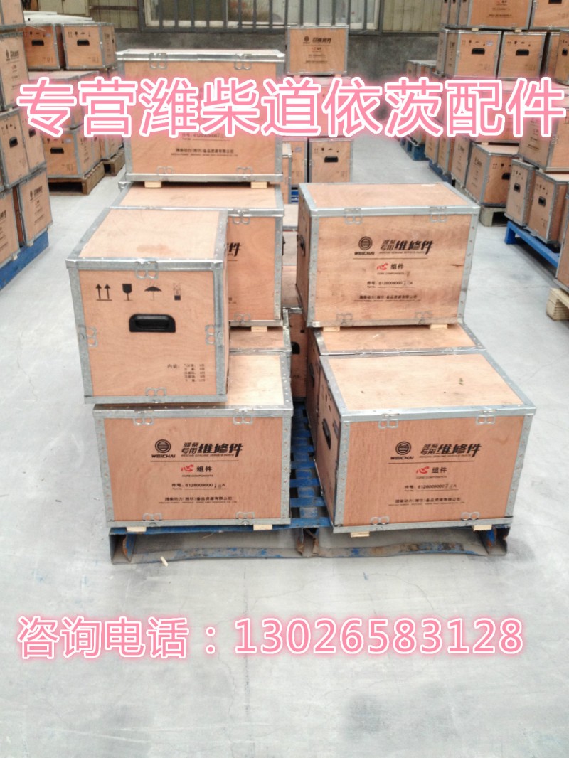 13032676,傳感器線束（雙油門）,濟南唱響汽配