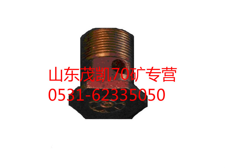 WG9970320204,70礦空心螺栓,山東茂凱商貿有限公司