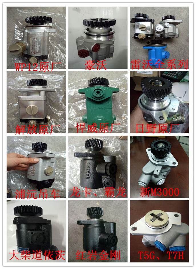 113834000005、ZYB17-13AN01,轉(zhuǎn)向助力泵,濟(jì)南正宸動(dòng)力汽車零部件有限公司
