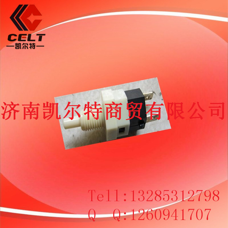 WG6100720020,STR門(mén)燈開(kāi)關(guān),濟(jì)南凱爾特商貿(mào)有限公司