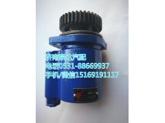 610800130272,轉(zhuǎn)向助力泵,濟(jì)南泉達(dá)汽配有限公司