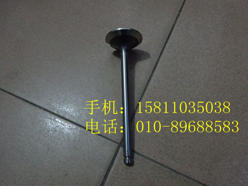3696843排氣門/3696843