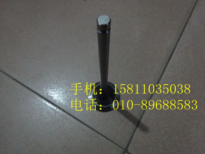 3696843排氣門/3696843