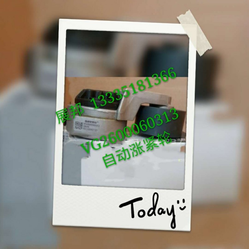 VG2600060313,自動(dòng)漲緊輪,濟(jì)南冠澤卡車(chē)配件營(yíng)銷(xiāo)中心