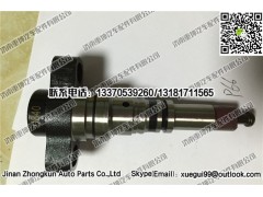 P66,柱塞,濟南重坤汽車配件有限公司