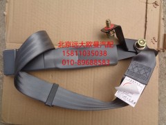 1B24982200005,安全帶乘客、中間鎖扣總成（通用）,北京遠(yuǎn)大歐曼汽車配件有限公司
