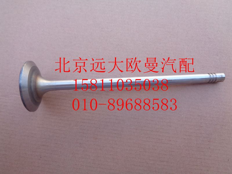 612630050001,進氣門,北京遠大歐曼汽車配件有限公司