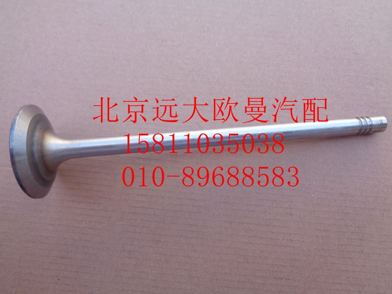 612630050001,進氣門,北京遠大歐曼汽車配件有限公司