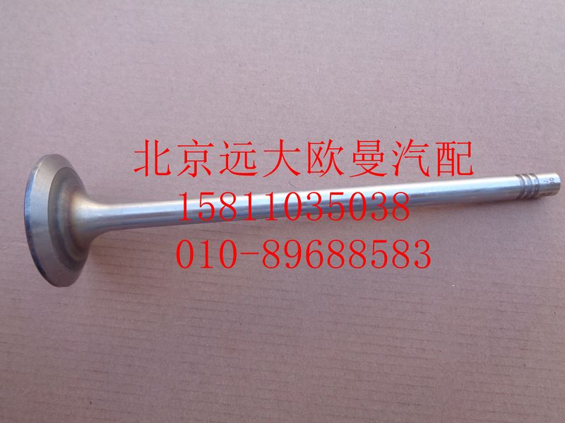 612630050001,進氣門,北京遠大歐曼汽車配件有限公司
