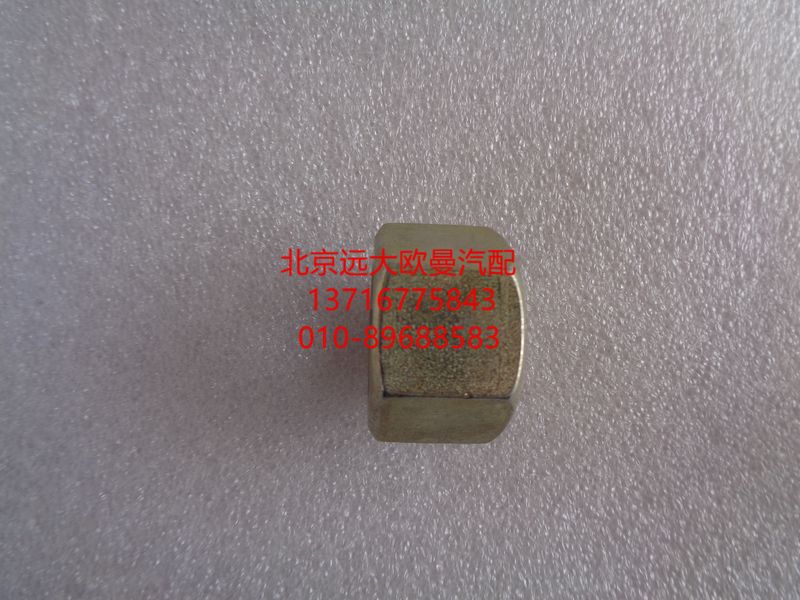 1417029200035,U型螺栓螺母自鎖,北京遠(yuǎn)大歐曼汽車(chē)配件有限公司
