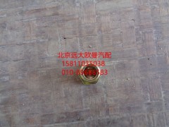 1124134000009,轉(zhuǎn)向器鉸接螺栓,北京遠(yuǎn)大歐曼汽車配件有限公司