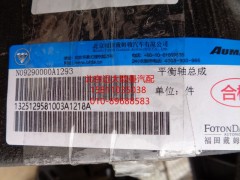 1325129581003,平衡軸總成,北京遠(yuǎn)大歐曼汽車配件有限公司