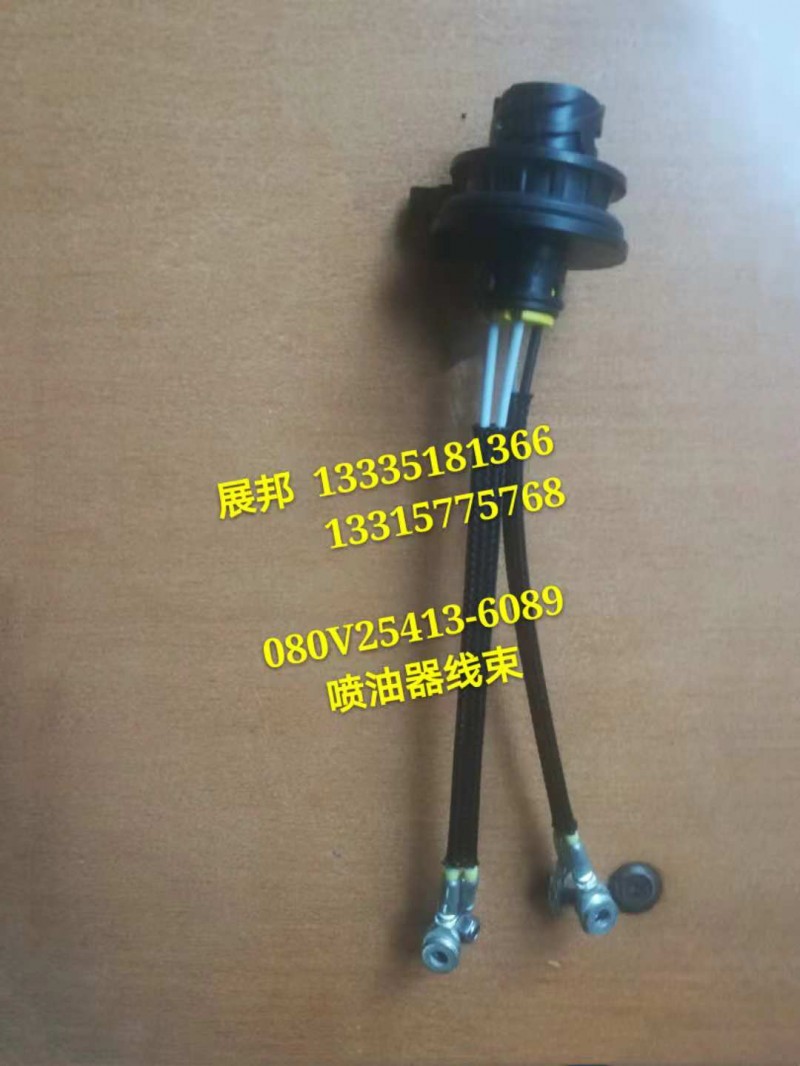 080V25413-6089,噴油器線(xiàn)束,濟(jì)南冠澤卡車(chē)配件營(yíng)銷(xiāo)中心