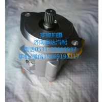 上汽依維柯紅巖配套轉(zhuǎn)向油泵/助力泵5802208779