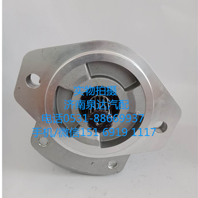 浦沅起重機(jī)液壓轉(zhuǎn)向油泵、助力泵QC18/13-226B’/QC18/13-226B’