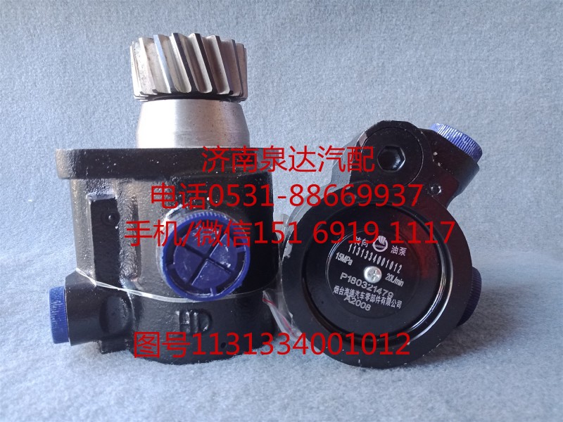 1131334001012,轉(zhuǎn)向助力泵,濟南泉達(dá)汽配有限公司